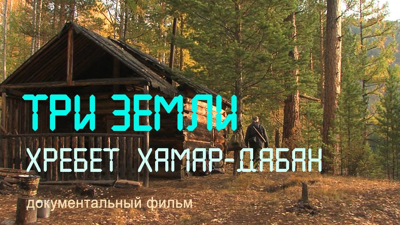 Бурятия. Байкальский заповедник. Большой Хамар-Дабан. Река Темник. Nature of russia.