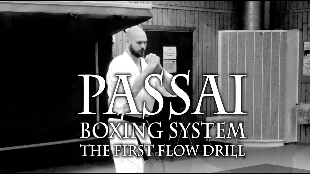 Johannes Regell -  Passai Boxing System ep 1 - the First Flow Drill