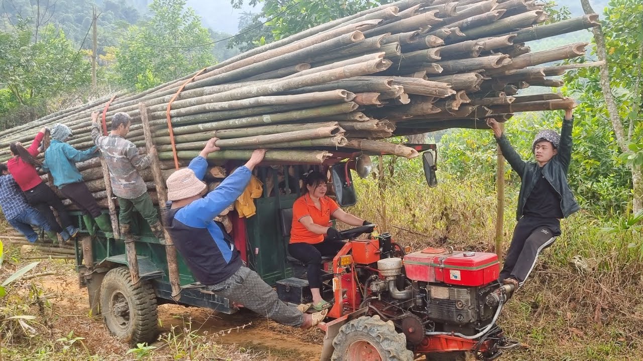 Replace truck oil and transport firewood to people