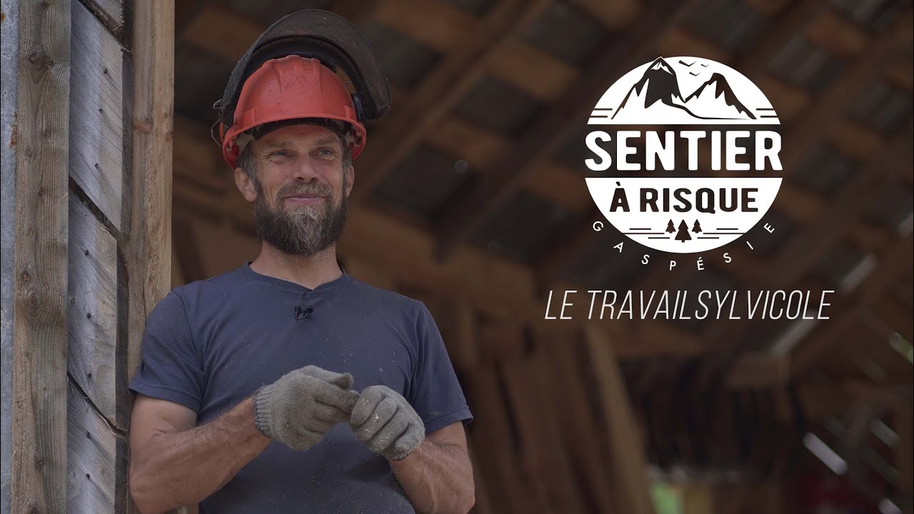 Sentier à risque: Travail sylvicole