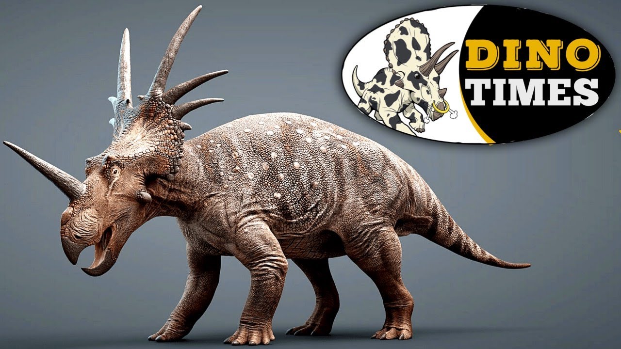 What is the Styracosaurus? Dino Times.