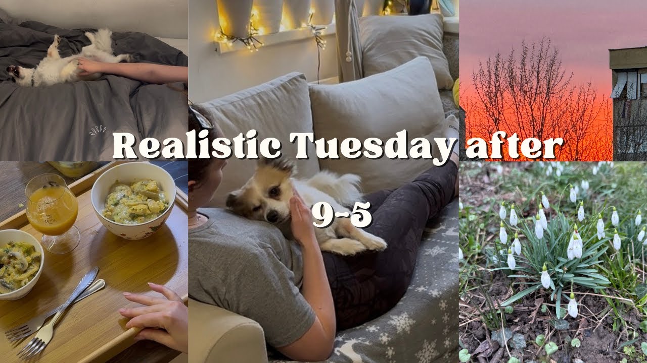 Realistic 5-9 Tuesday in my life | Quiet Evening at Home, Dog, Cooking & Reading (No Music)💫🫶🏼