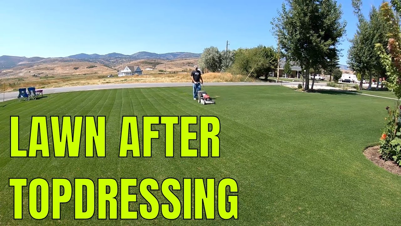 TOP DRESSING UPDATE 1 week later // Connor Ward