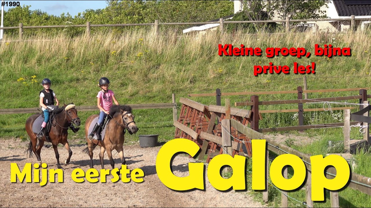 Ik mag mijn EERSTE GALOP proberen. PAARD rijden met een KLEINE GROEP. Bijna PRIVE LES. #1990