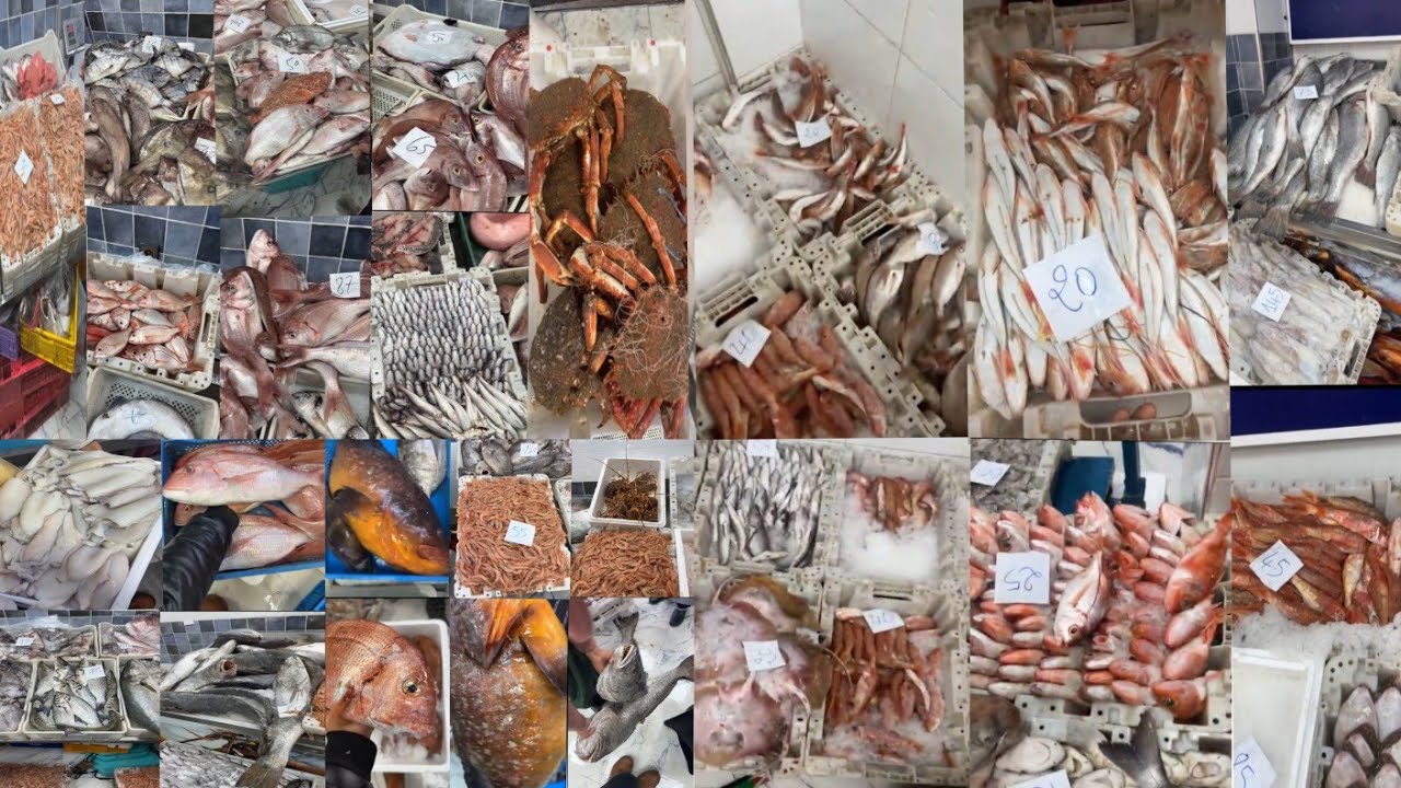 ثمن السمك بالمغرب🐙🦐اليوم الخميس18يوليوز 2024#المغرب🇲🇦#سوق_االمغربPoisson de qualité à prix abordable