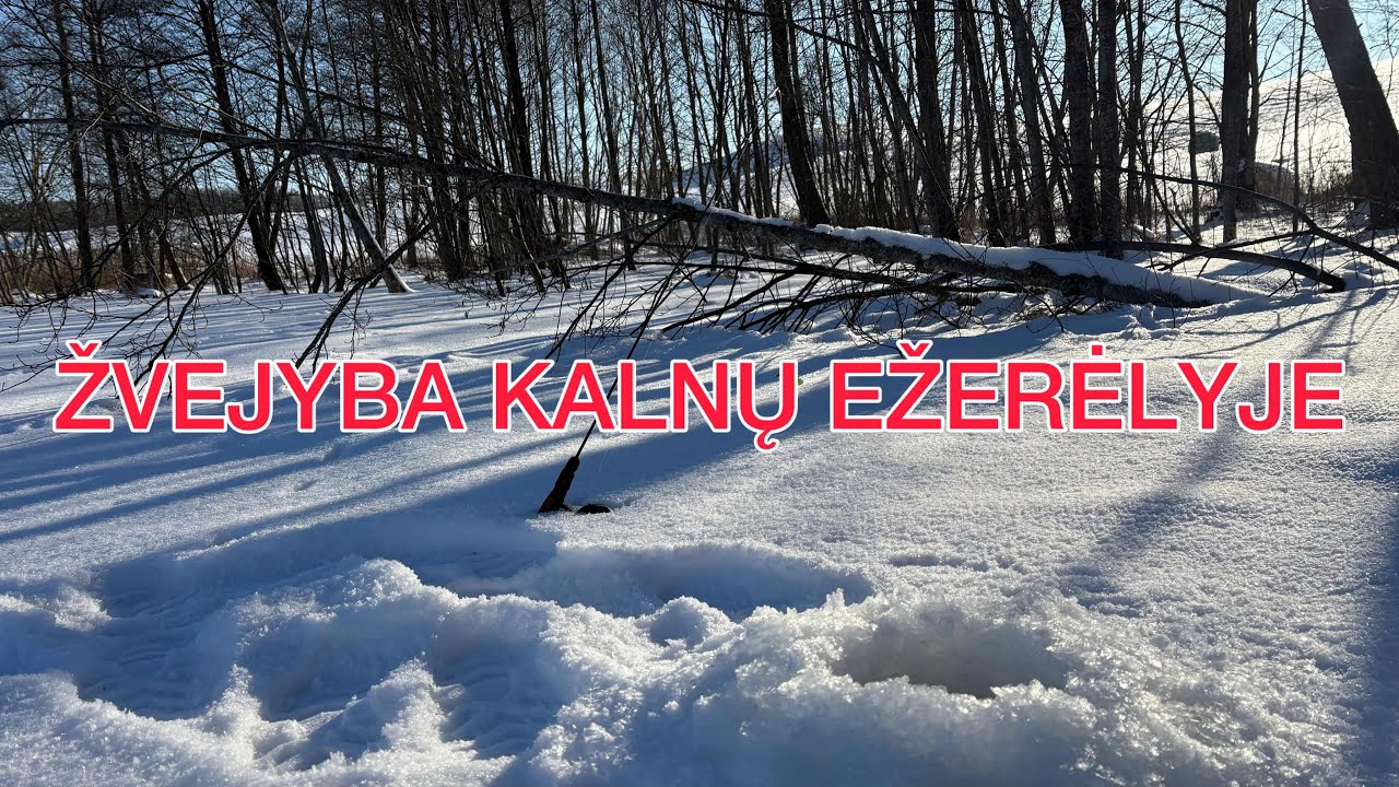 BLŪDIJAM SU SPININGAIS PO KALNŲ EŽERĖLĮ PRIEŠ LYDEKŲ DRAUDIMĄ  2026 #10