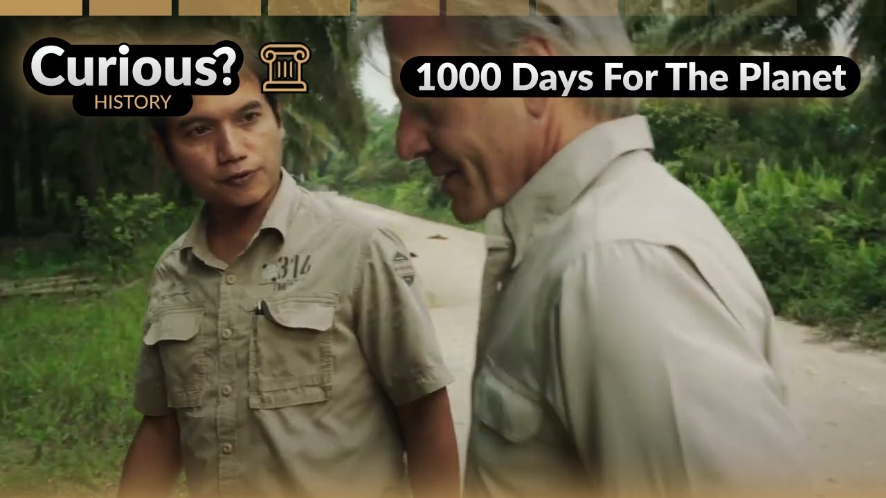 Sumatran Elephants Last Stand Against Palm Oil | 1000 Days For The Planet