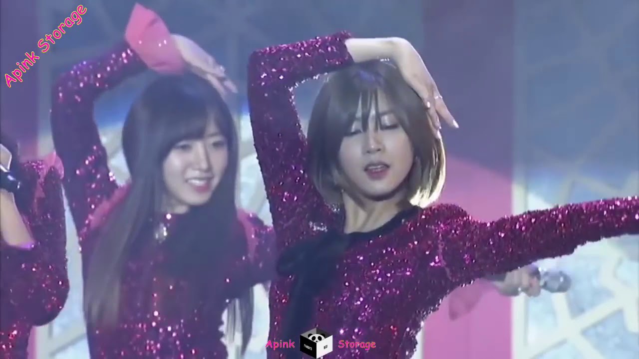 Apink 3rd Concert Pink Party Full【ENG SUB】