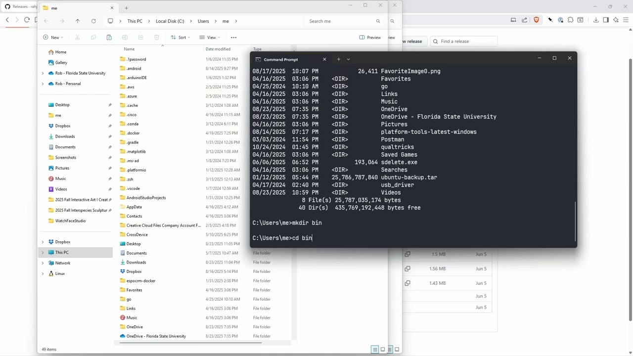 How to install and use command-line programs in Windows