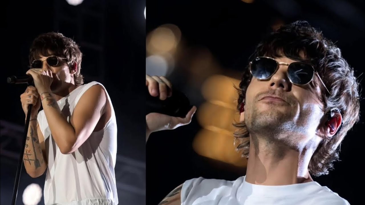 Louis Tomlinson & Zara McDermott Plotting to Protect Harry Styles? What Larries Uncovered