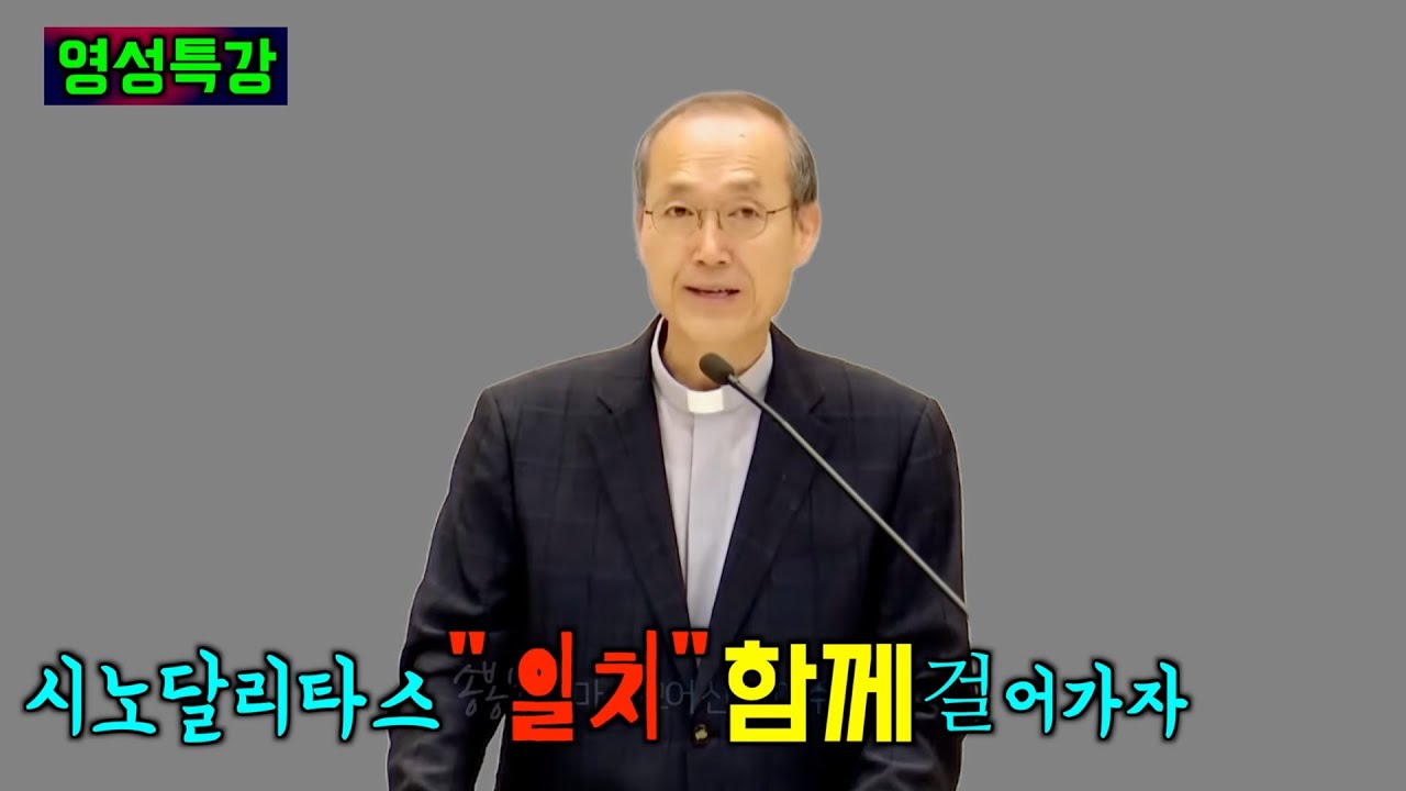 시노달리타스