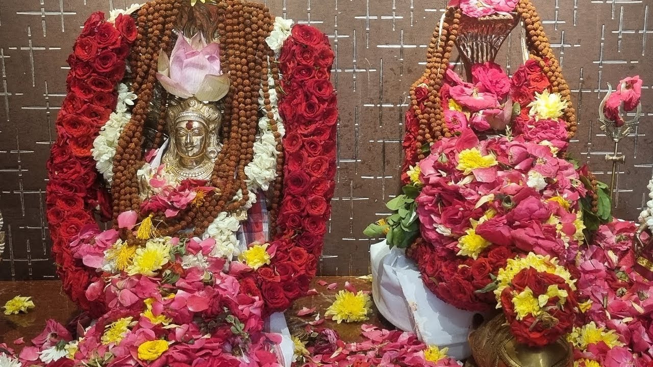Sri Medha Dakshinamoorthy along with Parivara Devatha Abhishekam and Pooja @ Tapovanam