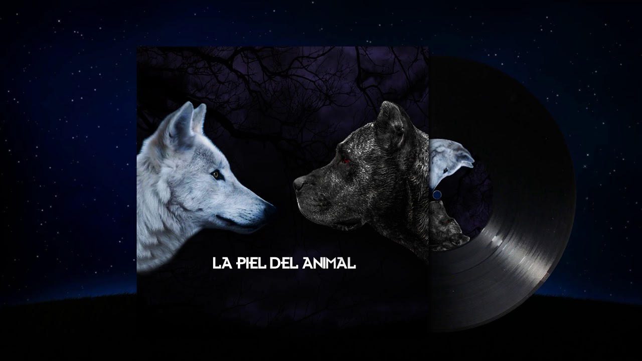 LA PIEL DEL ANIMAL - CIMARRÓN & LOBO VIEJO