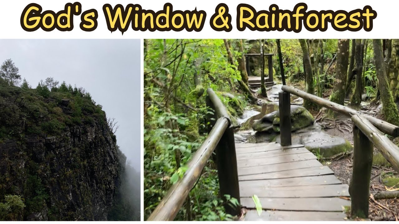God’s Window | RainForest | Mpumalanga | South Africa | Panoramic Scene