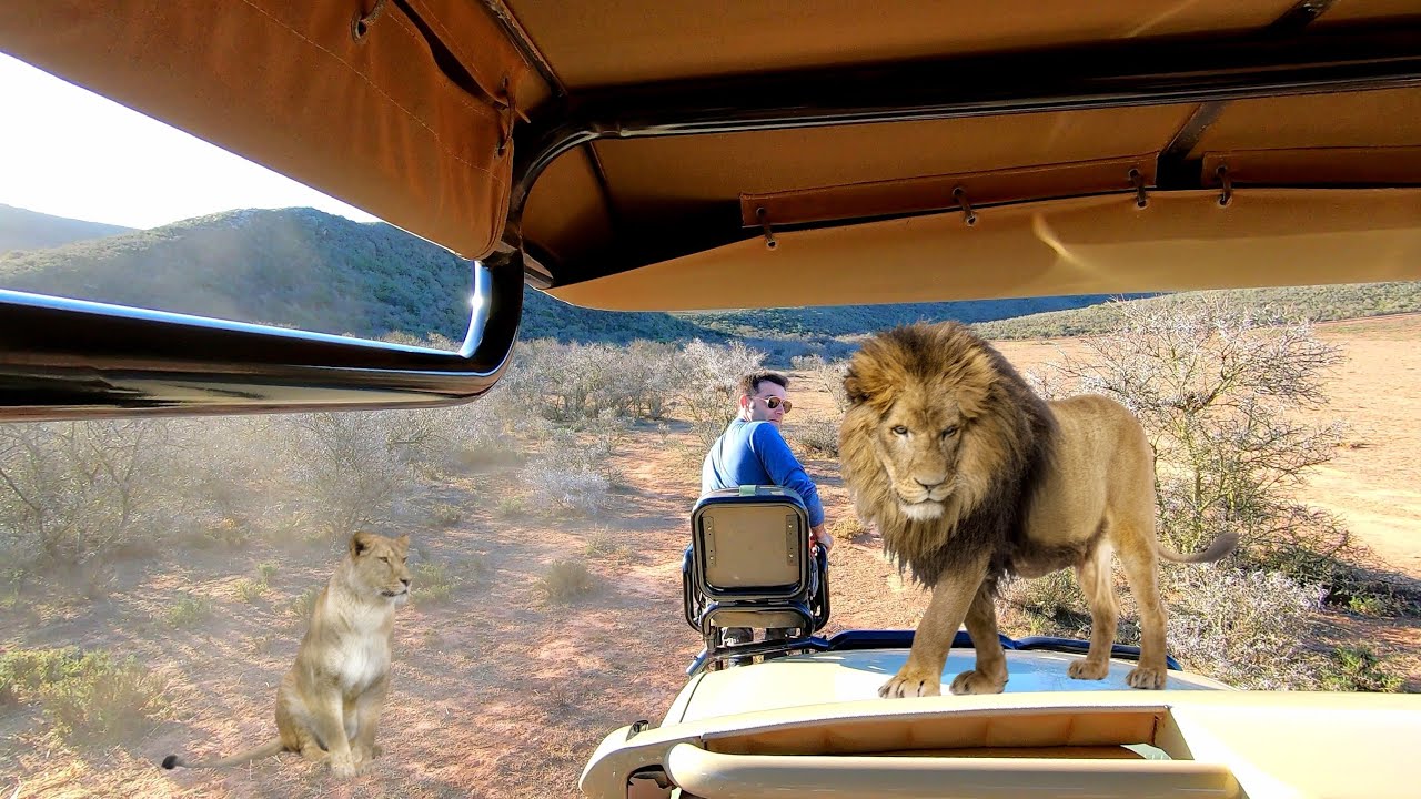 Safari Tanzania non solo un Idea Viaggio di Nozze, paga meno ottieni di più!