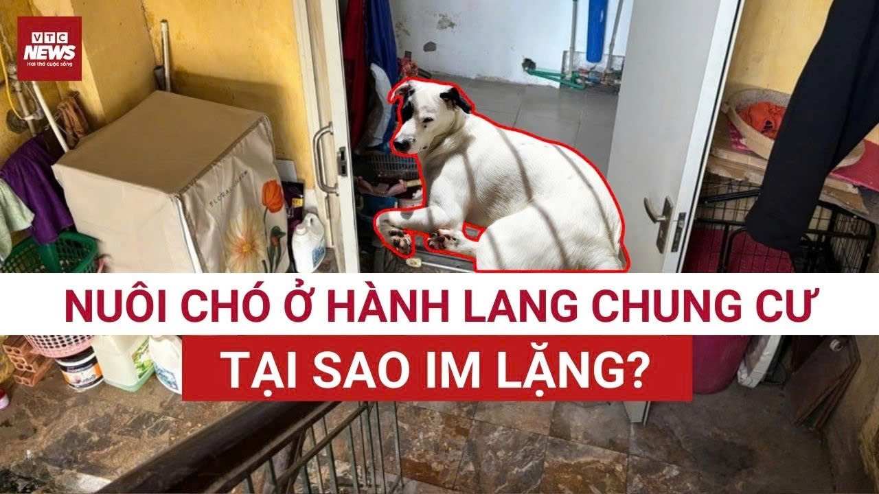 Chặn lối thoát hiểm, NUÔI CHÓ ở hành lang: Vì sao quản lý chung cư im lặng suốt nhiều năm?| VTC News