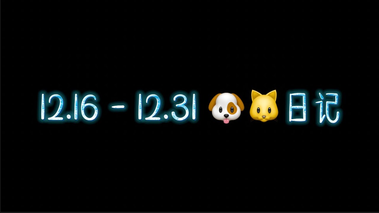 【俊哲日记】23.12.16 - 12.31 🐶🐱日记