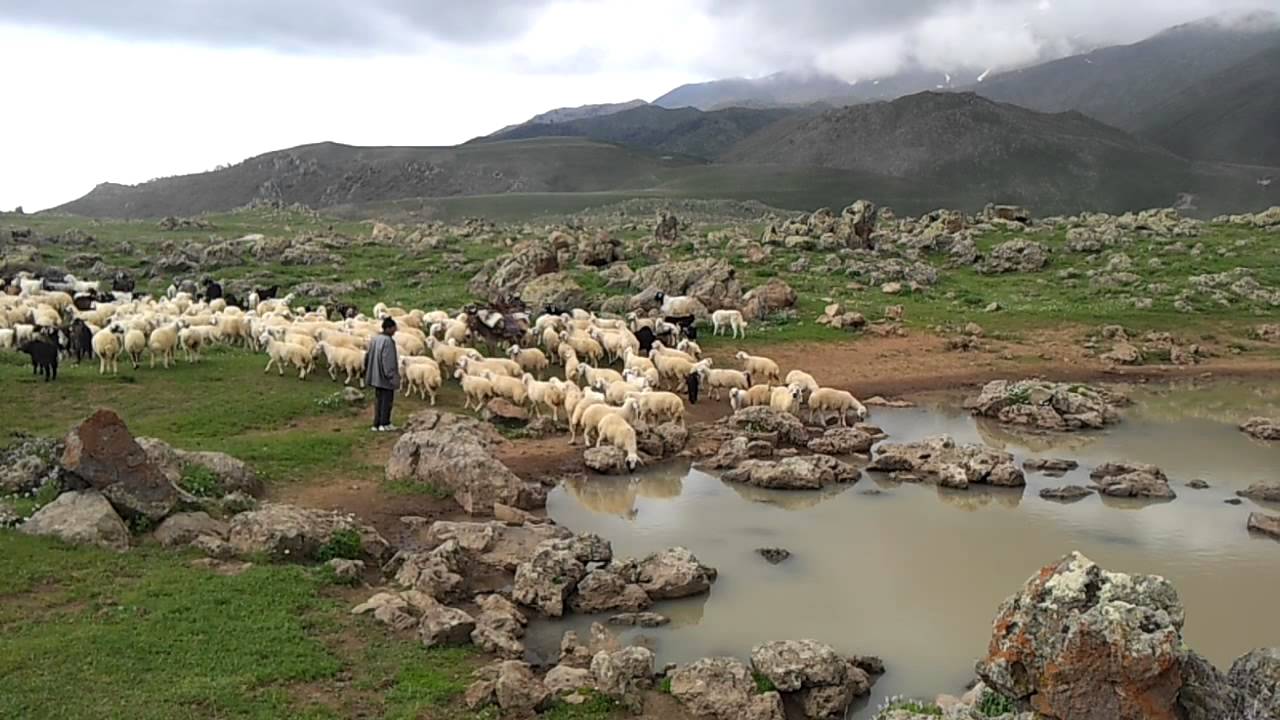 Hasandagi yayla Festivali gezisi NIFAD