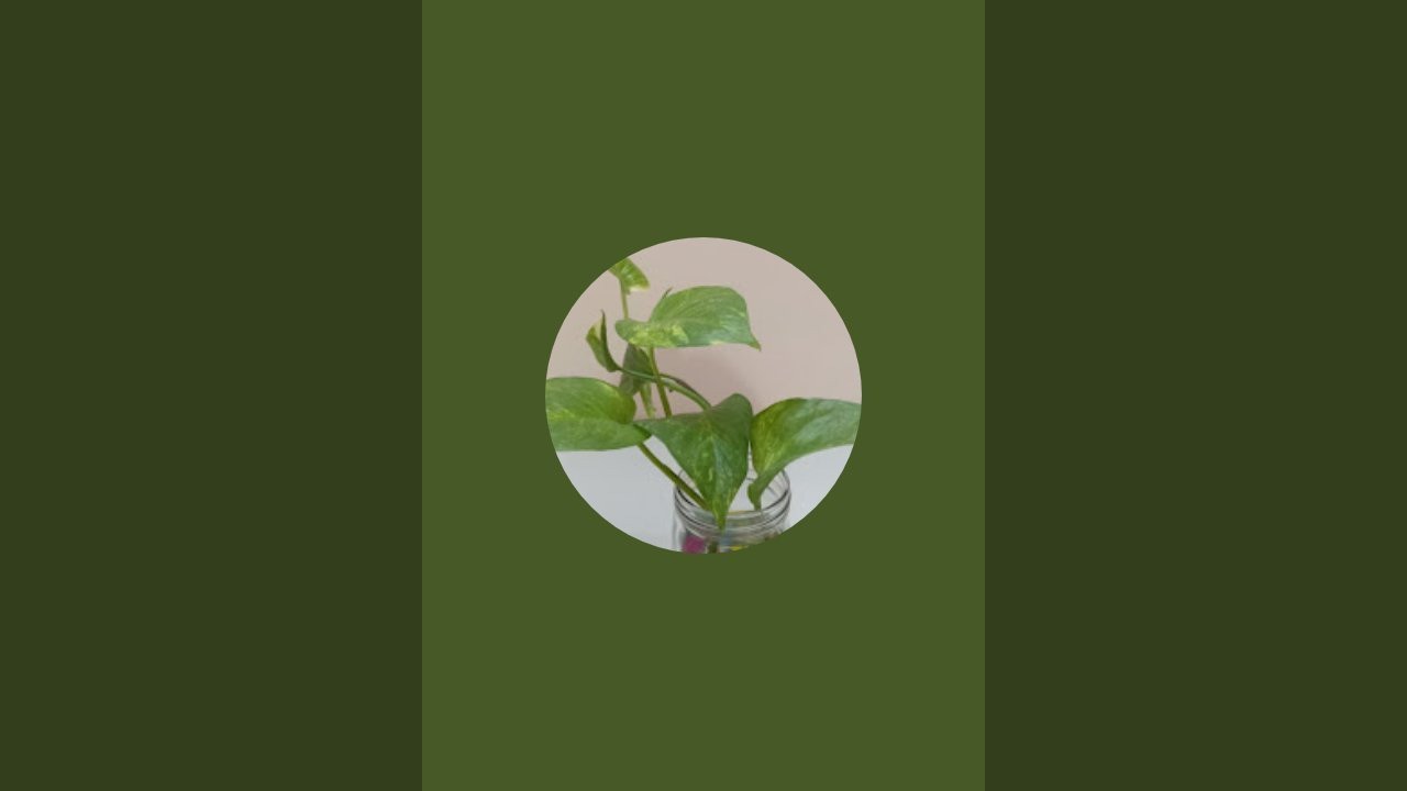 gardening