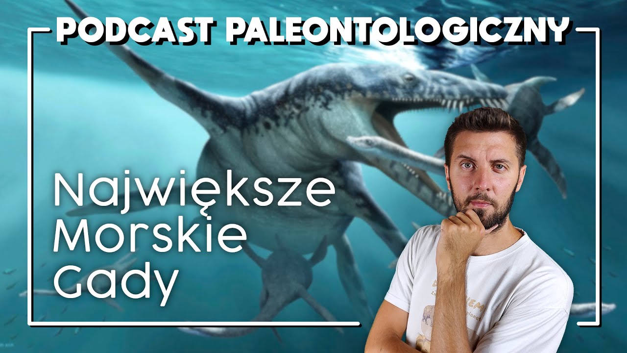 Największe drapieżniki morskie ery dinozaurów [Podcast Paleontologiczny #1]