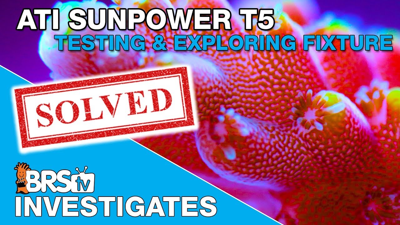 Exploring everything about the ATI Sunpower T5 fixture | BRStv Investigates