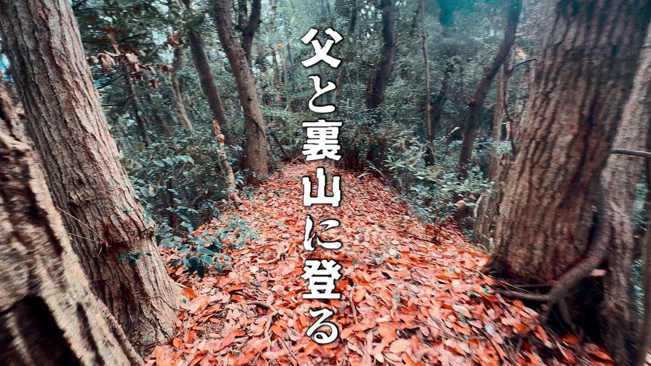 【前編】神社掃除⛩️父と裏山に榊を採りに行く。裏山舐めてた。。。