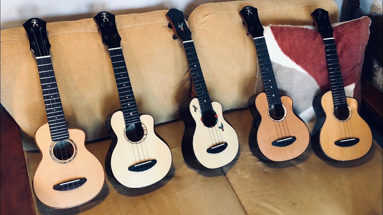 aNueNue Bird Ukulele ソプラノウクレレ 全レビュー US100 US200 US200HB US214 US330