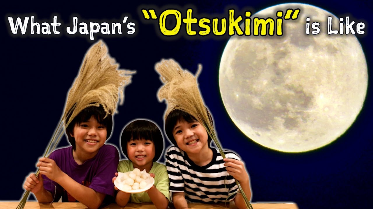 What Japan's 