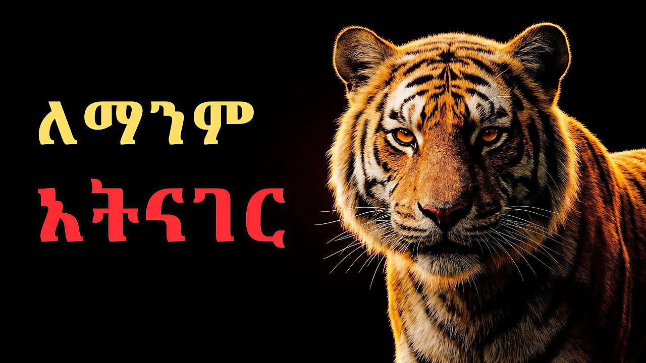 ለማንም አትናገር ! አድነህ አሳይ ፡ 7 የነብር ስትራቴጂ | The Tiger Mindset