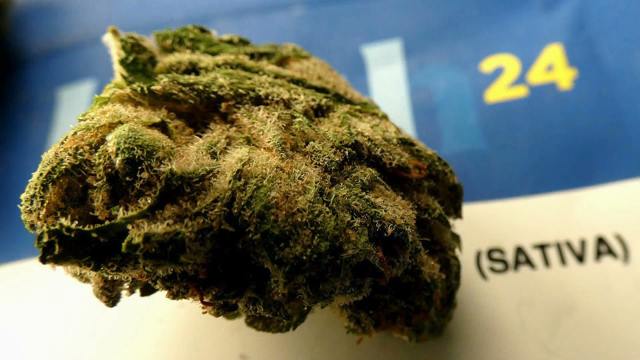LE DIESEL DOUGH DE BLEUH H24 - L'&Eacute;LECTRO POT 76