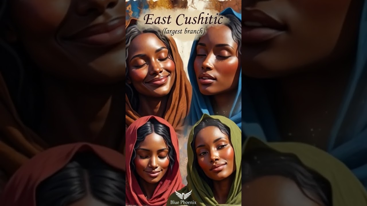 Cushitic language family branches #somalia #history #facts