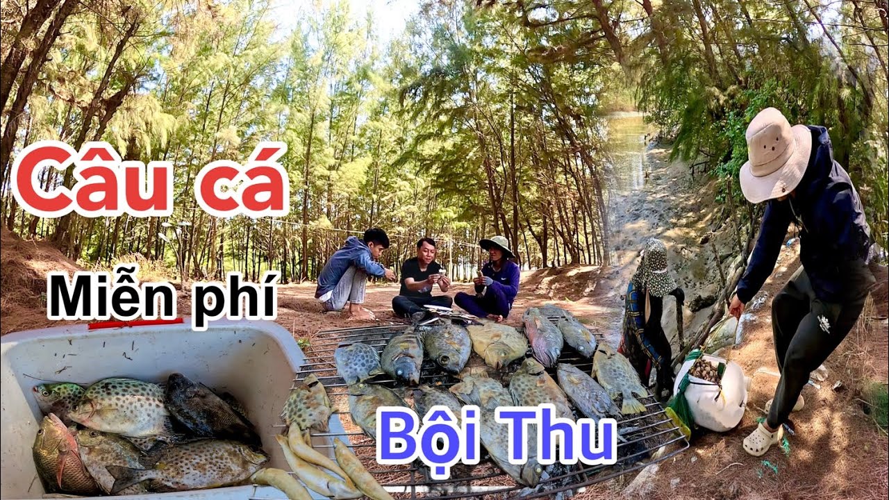 Câu Cá Nâu Miễn Phí & Bội Thu #huyhoangtv 