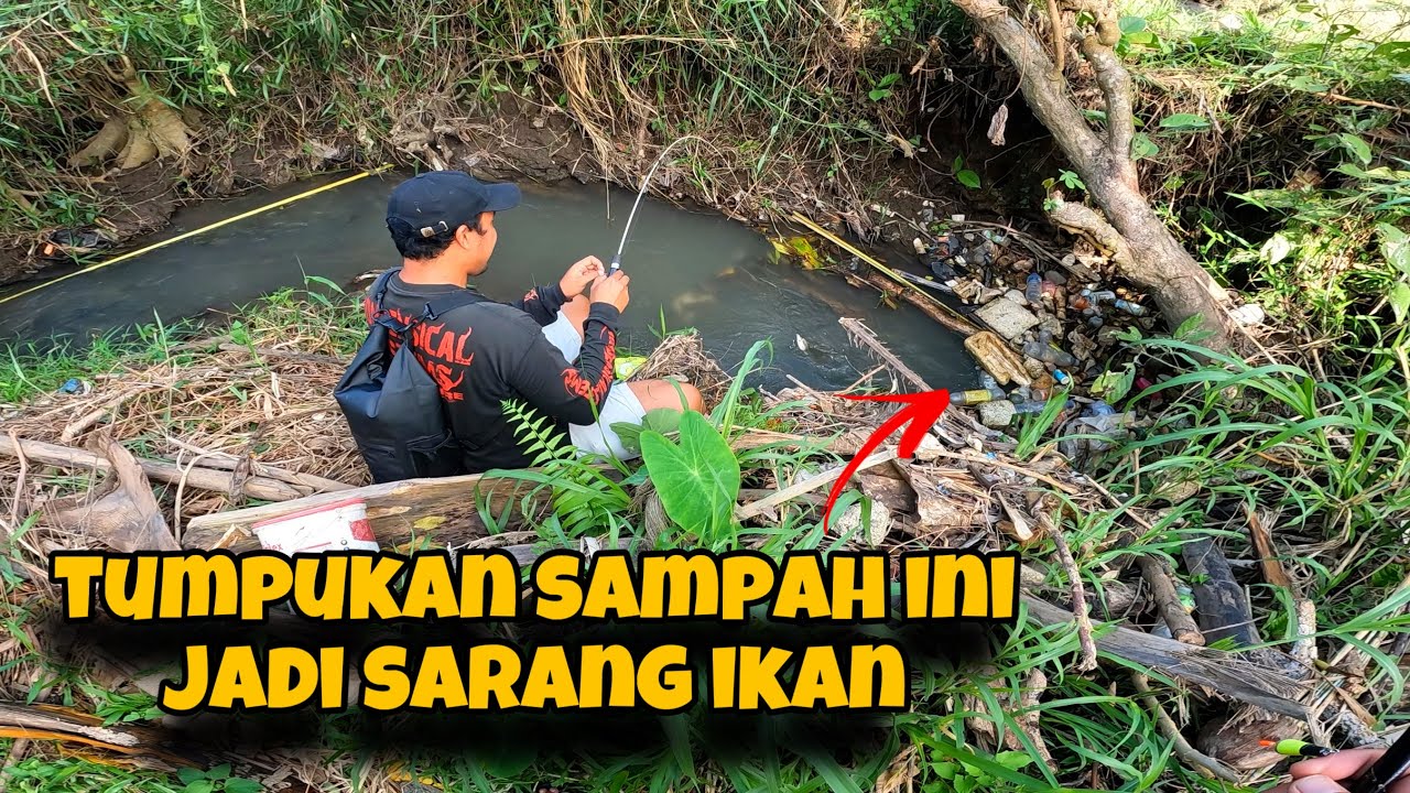 ‼️SIAPA SANGKA‼️ ALIRAN PARIT KECIL INI TERNYATA BANYAK IKANNYA | MANCING LIARAN