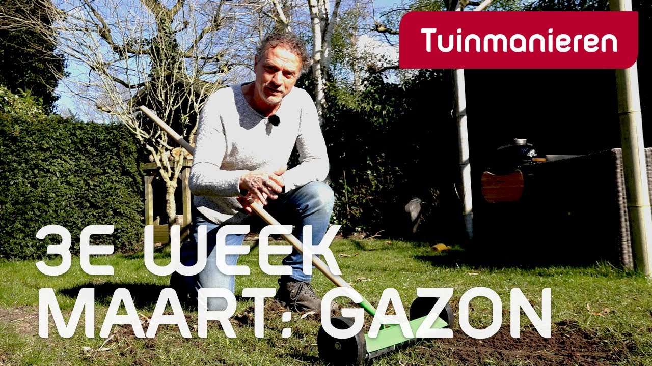 Wat doe je derde week maart in de tuin? Het GAZON | 2022 | Tuinmanieren