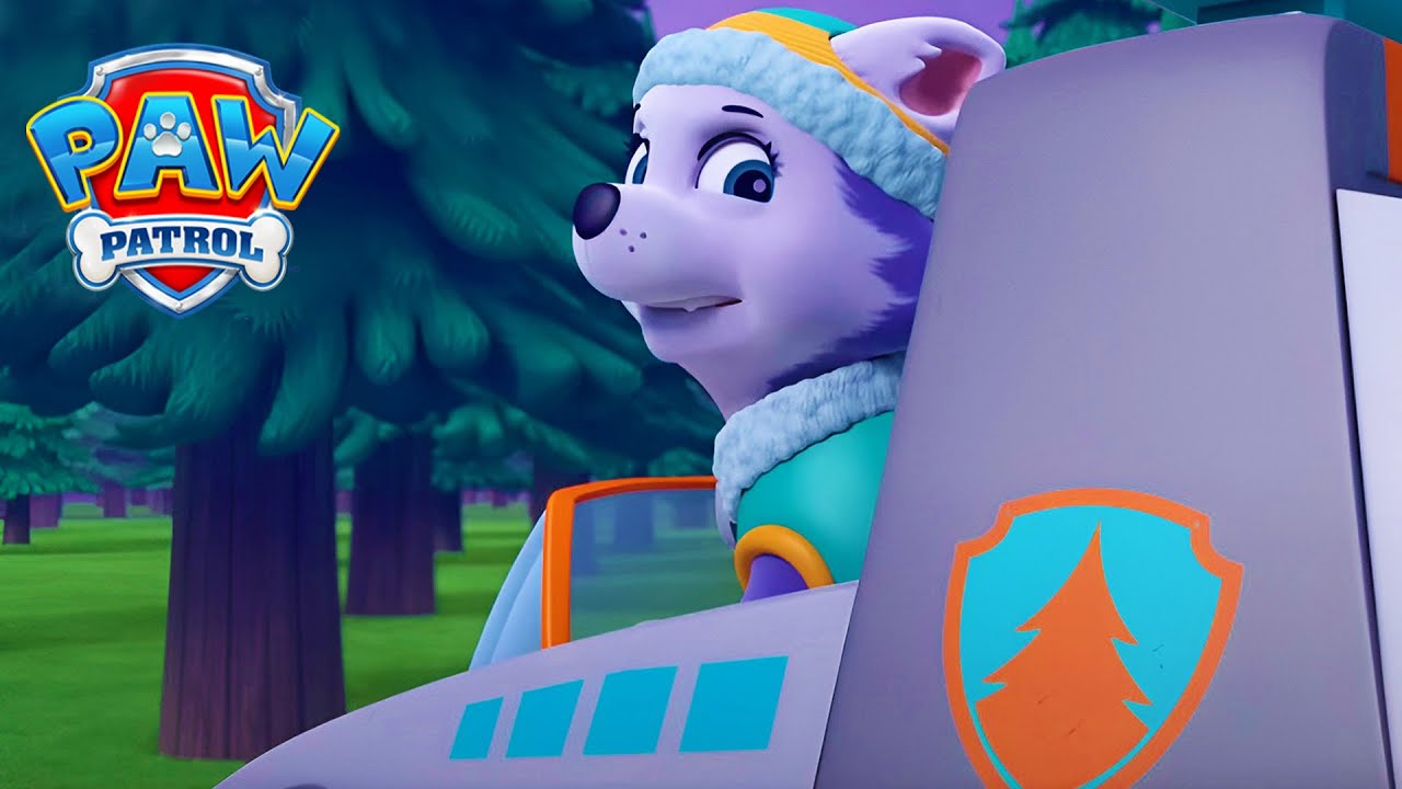 Everest kommt zur Rettung! - PAW Patrol Germany - Cartoons für Kinder