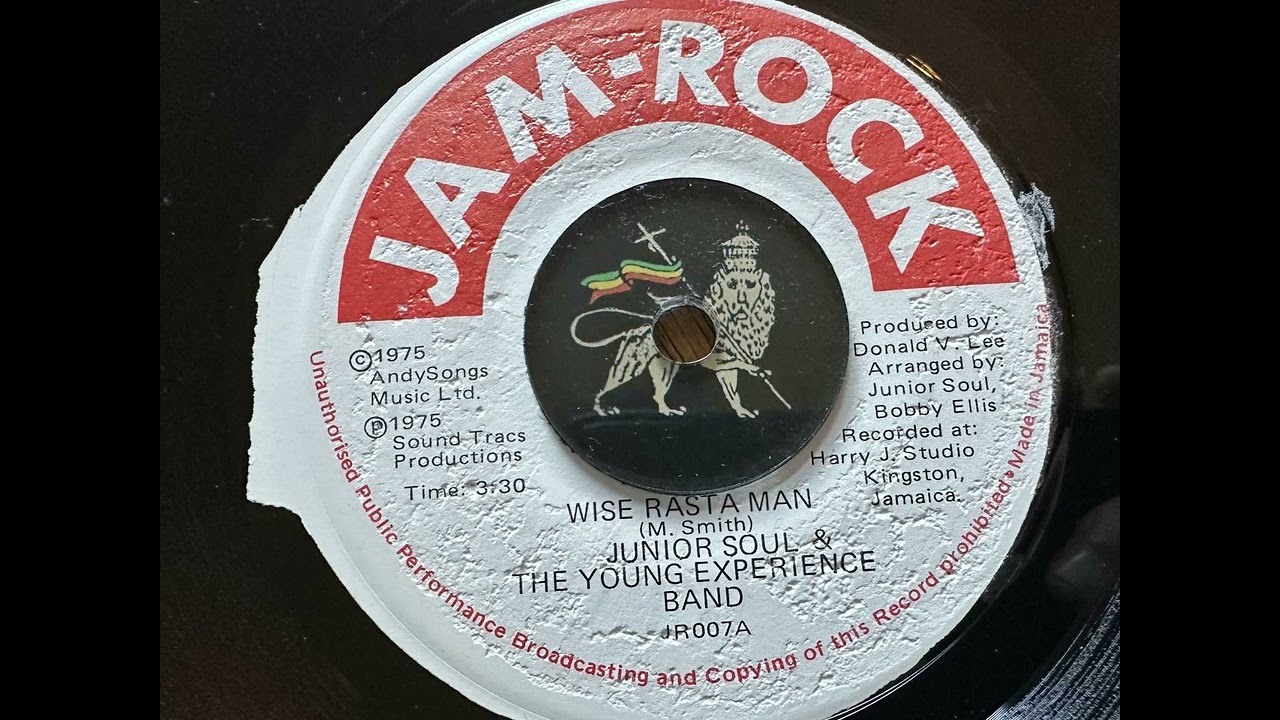 Junior Soul &The Young Experience Band - Wise Rasta Man