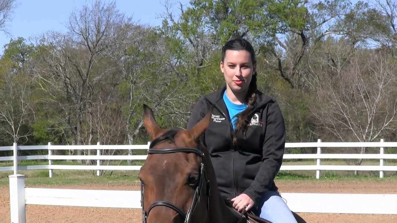 Bay Area Equestrian Horse Camp