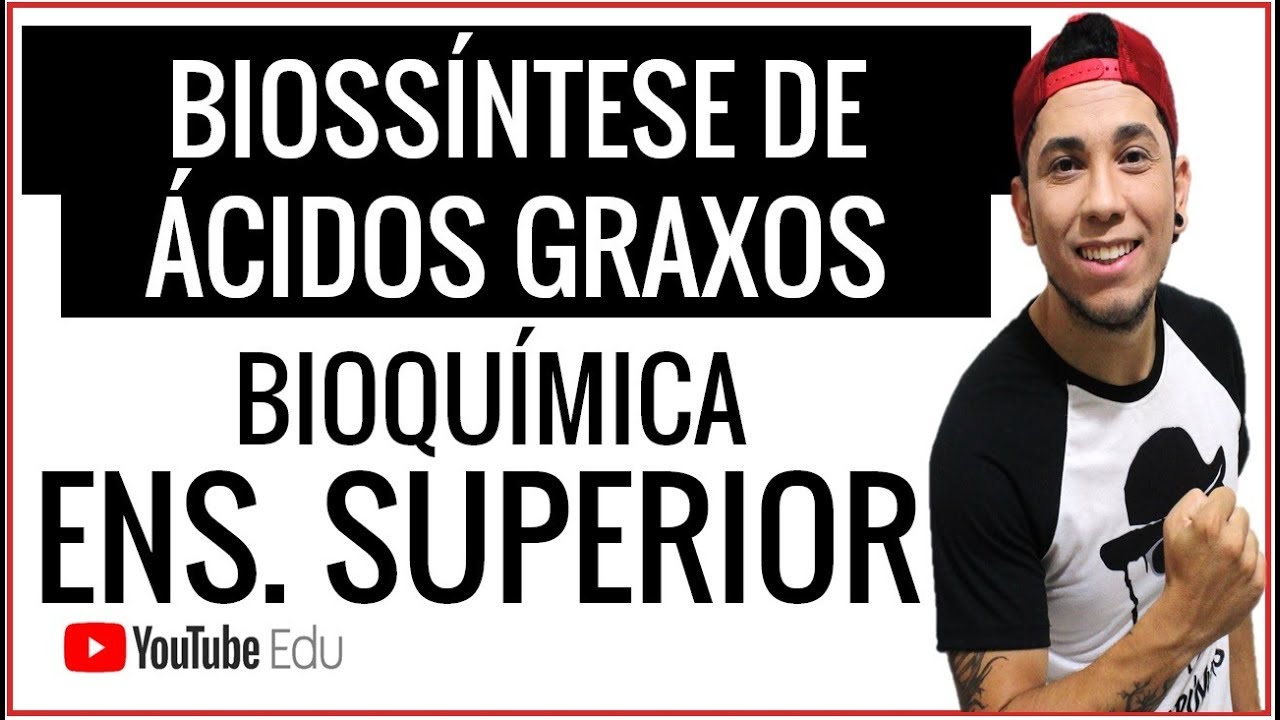 Aula 4/6: Biossíntese de  Ácidos Graxos - Lipólise - Lipogênese (AULA SUPERIOR)
