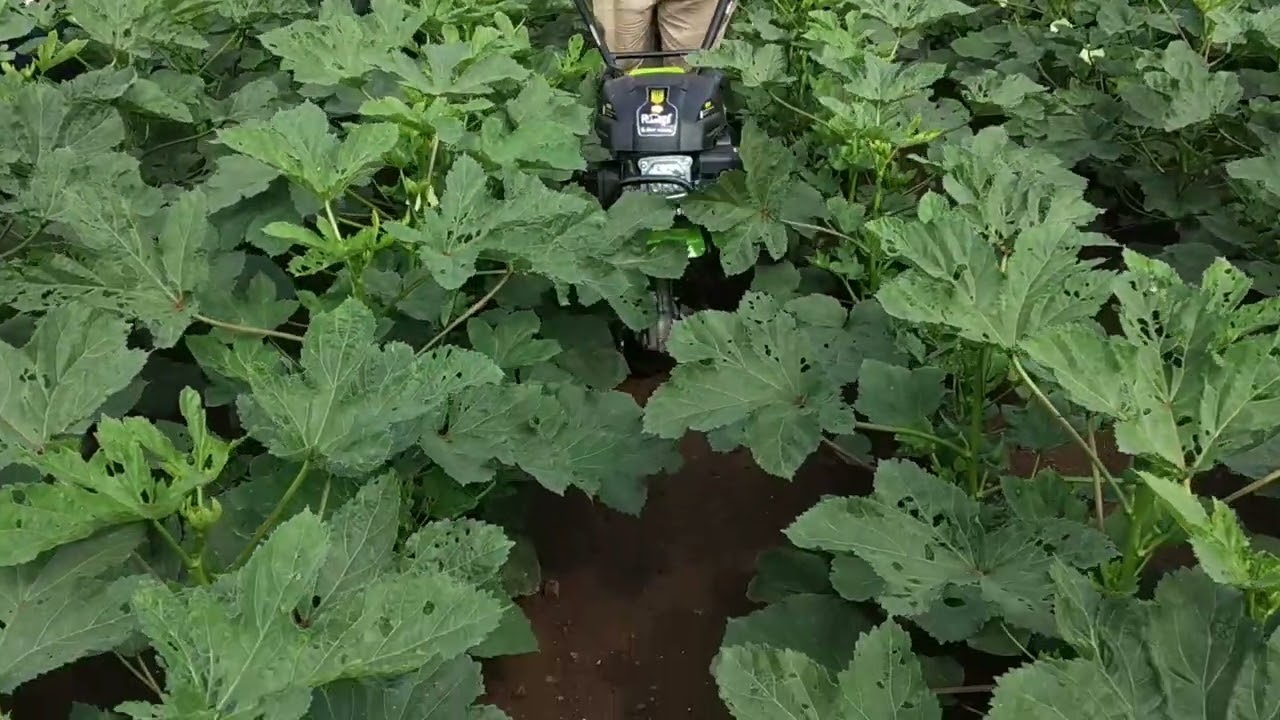 Power weeder 5hp