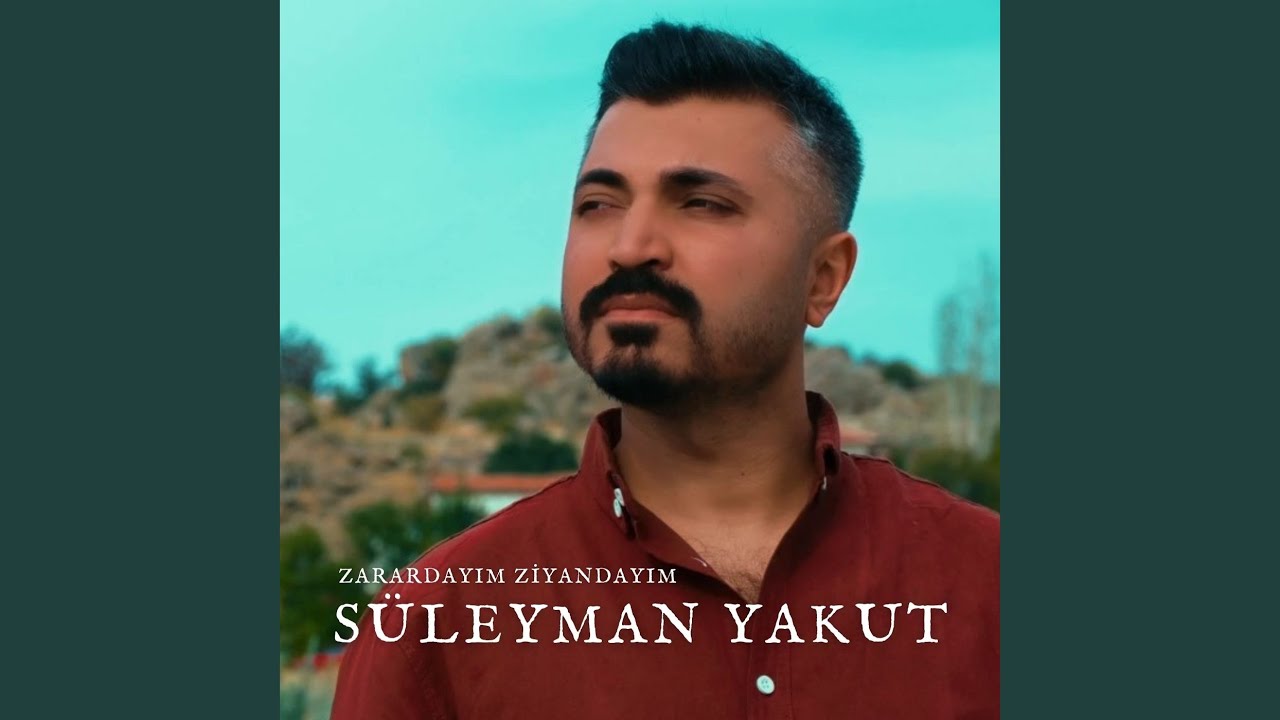 Zarardayım Ziyandayım