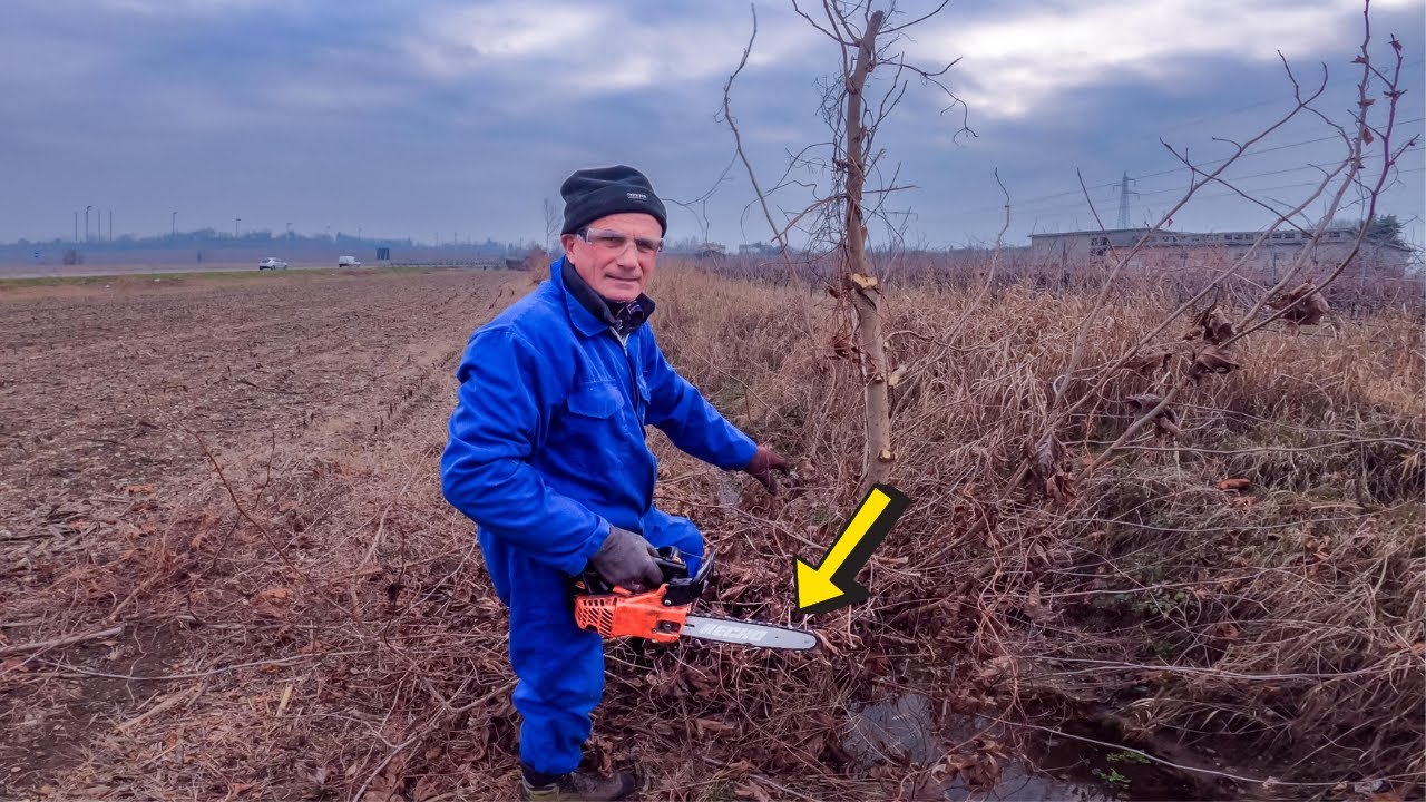 TAGLIAMO LA LEGNA e Puliamo il Campo