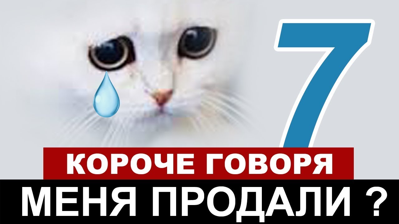 КОРОЧЕ ГОВОРЯ l МЕНЯ ПРОДАЛИ? #7  [От первого лица] БЕЗДОМНЫЙ КОТЕНОК