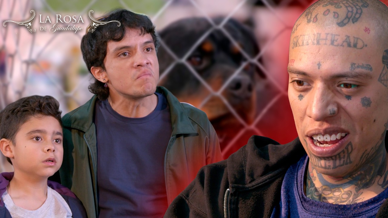 GRANITOS DE ESPERANZA | LA ROSA DE GUADALUPE | CAP&Iacute;TULO COMPLETO 2329