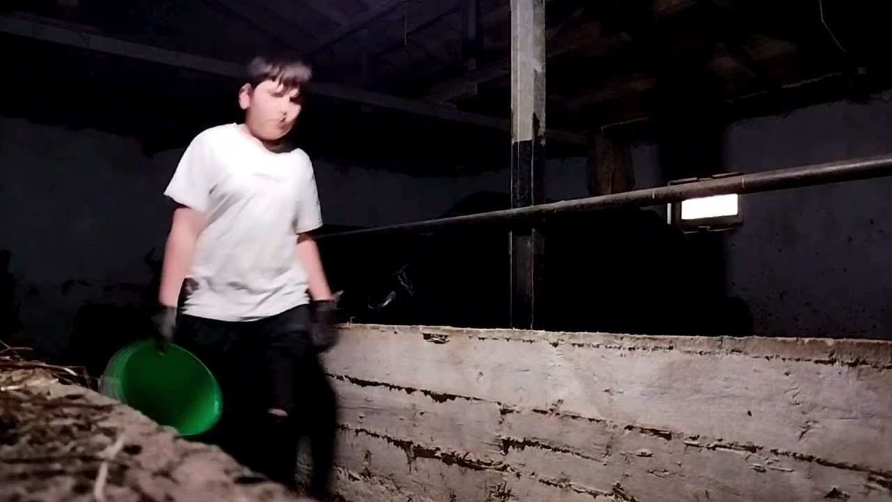 Sabah ineklerimizin bakımını yaptık🐄🐮