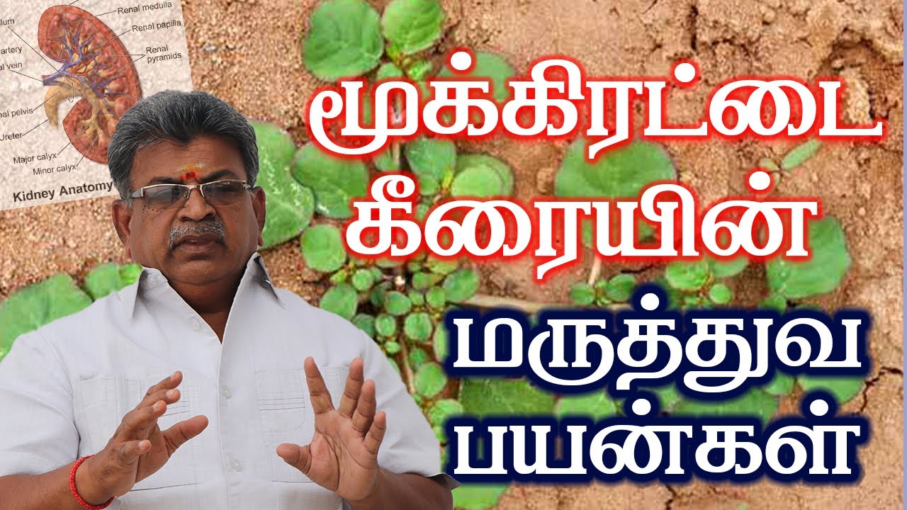 மூக்கிரட்டை கீரையின் மருத்துவ பயன்கள் | Health Benefits of Mookkirattai Keerai | Sarvam