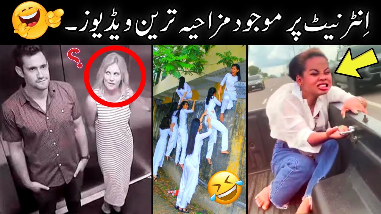 Most Funny Videos On Internet 😅😜 - funny videos try not to laugh