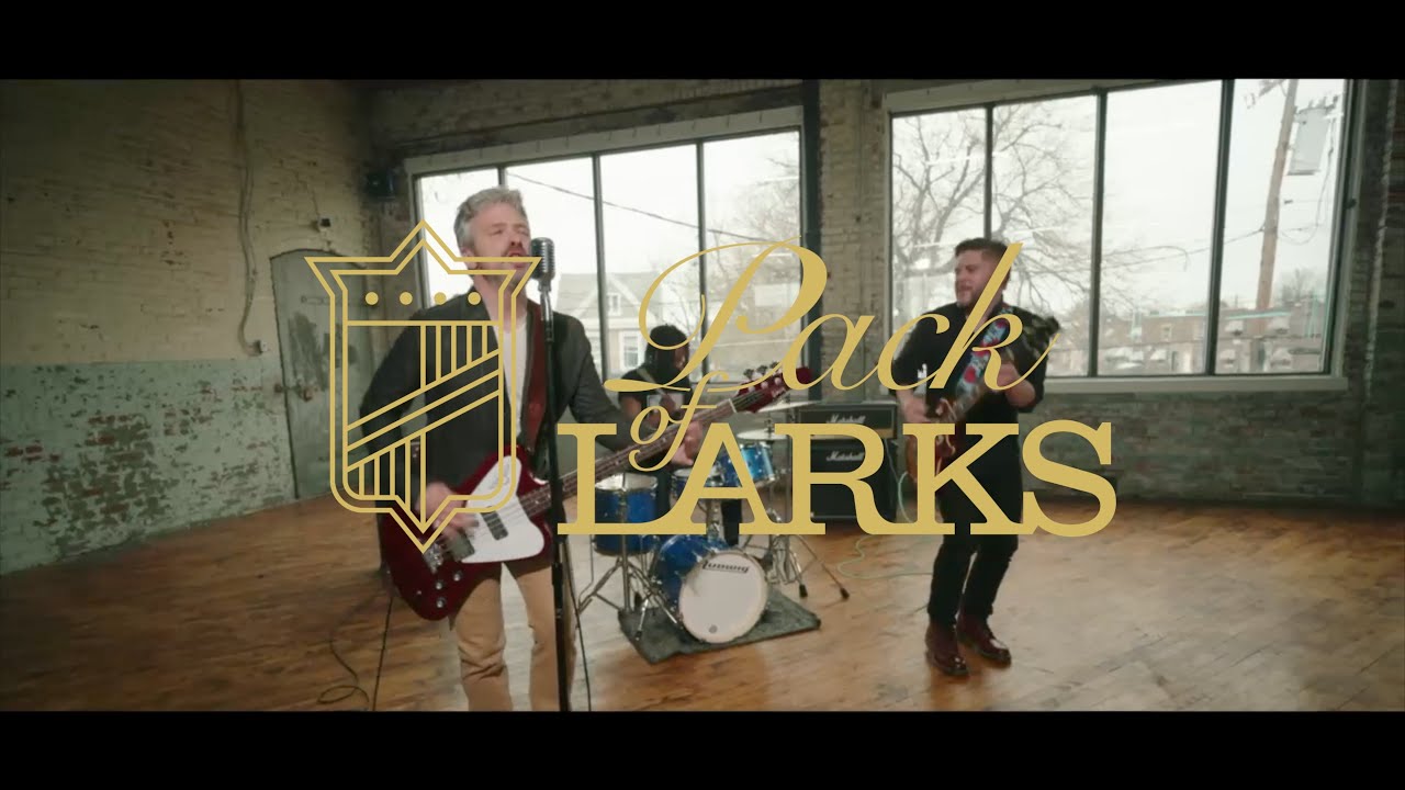 Pack of Larks 'Fruit Fly' Official Video