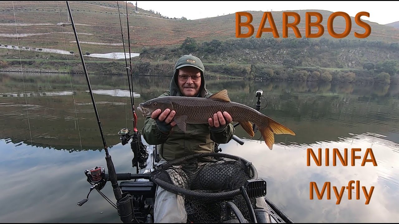 Pesca ao Barbo
