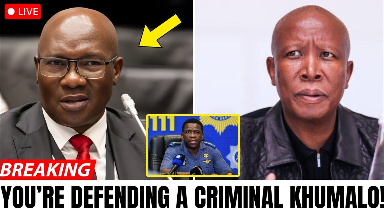 SA Parliament EXPLODES: Malema Tears Into Khumalo—“You’re Shielding a Criminal” Bombshell Clash 🇿🇦