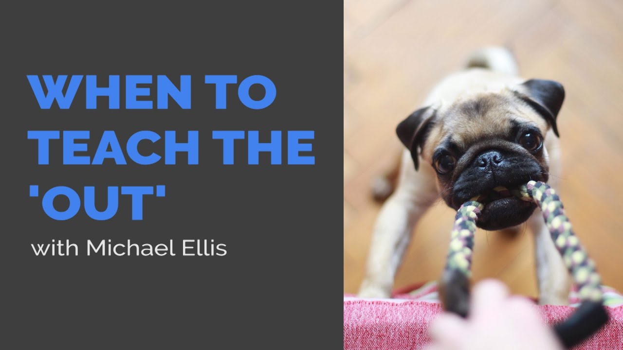 When to Teach the OUT with Michael Ellis